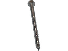 Muuranker RVS 6 x 70 mm