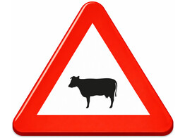 A29 verkeersbord SB250 700 mm klasse 3