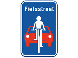 F111 verkeersbord SB250 600 x 900 mm klasse 1